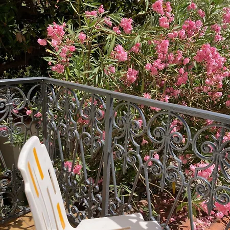 Belle Meunière * Nizza