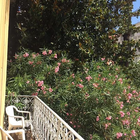 Belle Meunière *