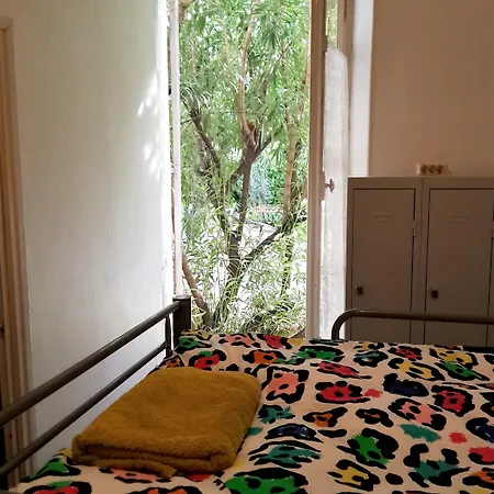 Belle Meuniere ניס